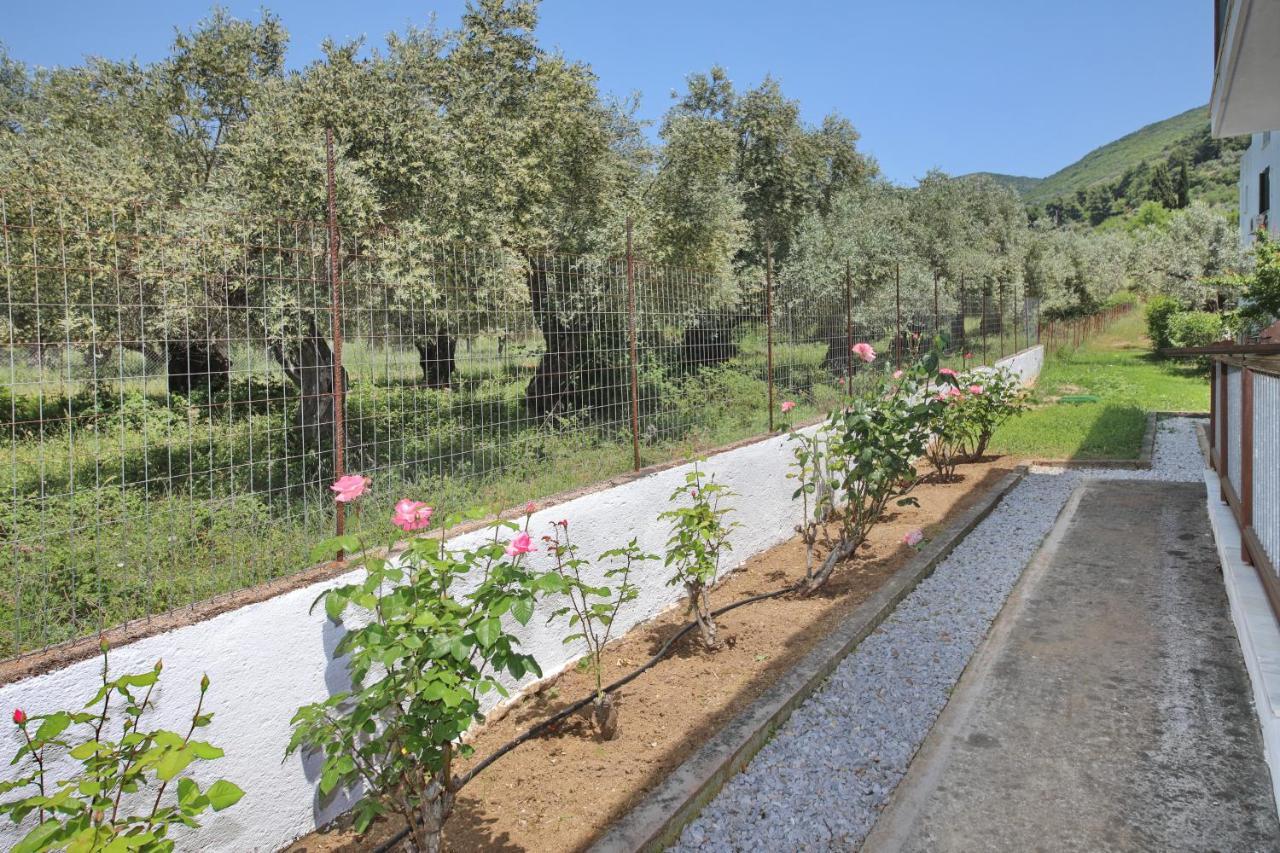 Skopelos Evergreen Apartments Stafylos Exterior foto