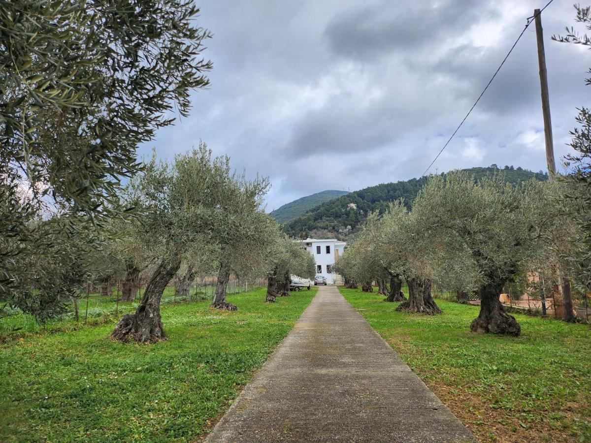 Skopelos Evergreen Apartments Stafylos Exterior foto